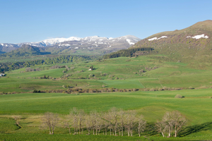Désinsectisation dératisation Cournon-d'Auvergne